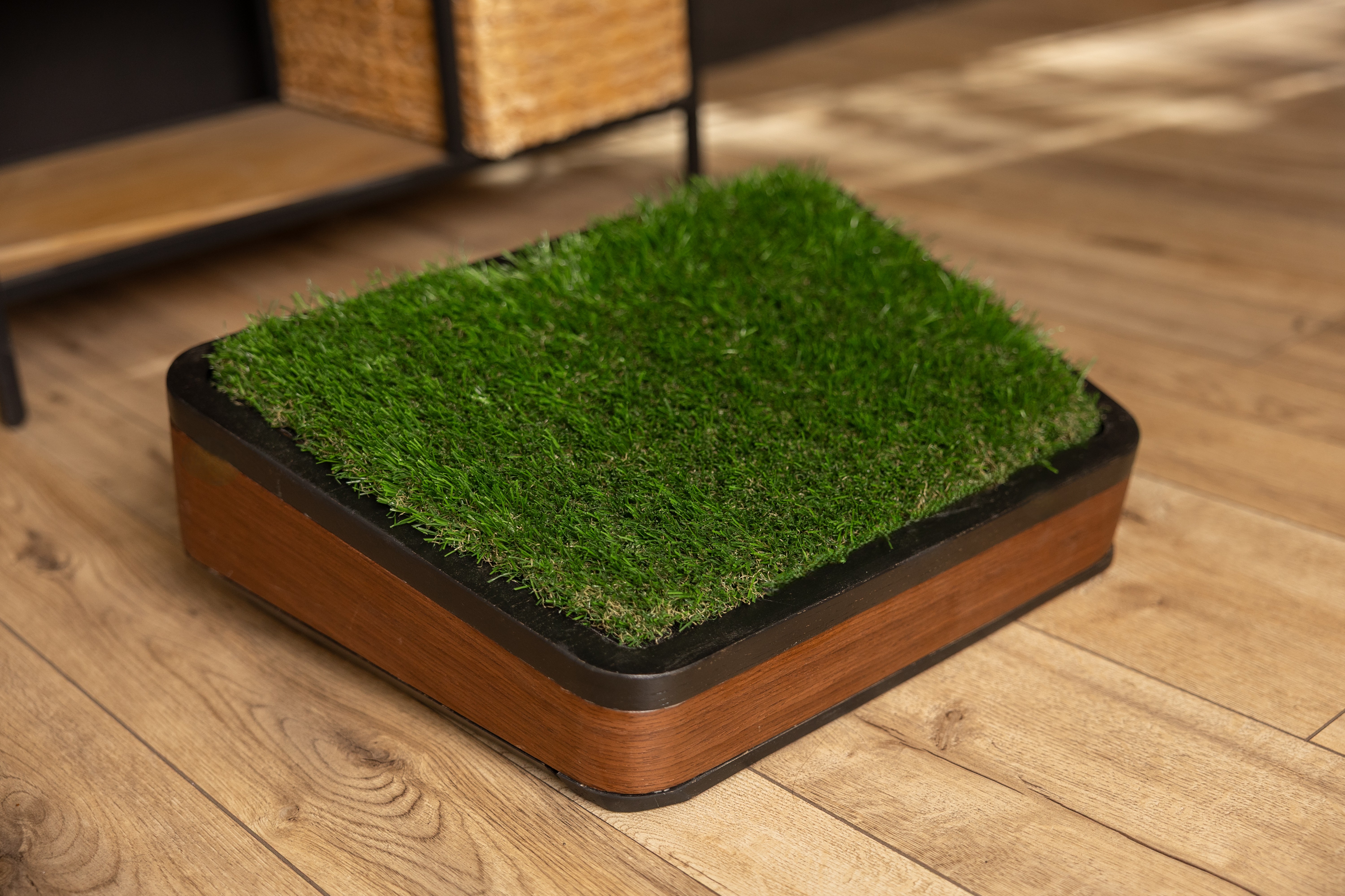 ErgoPod Walnut Grass